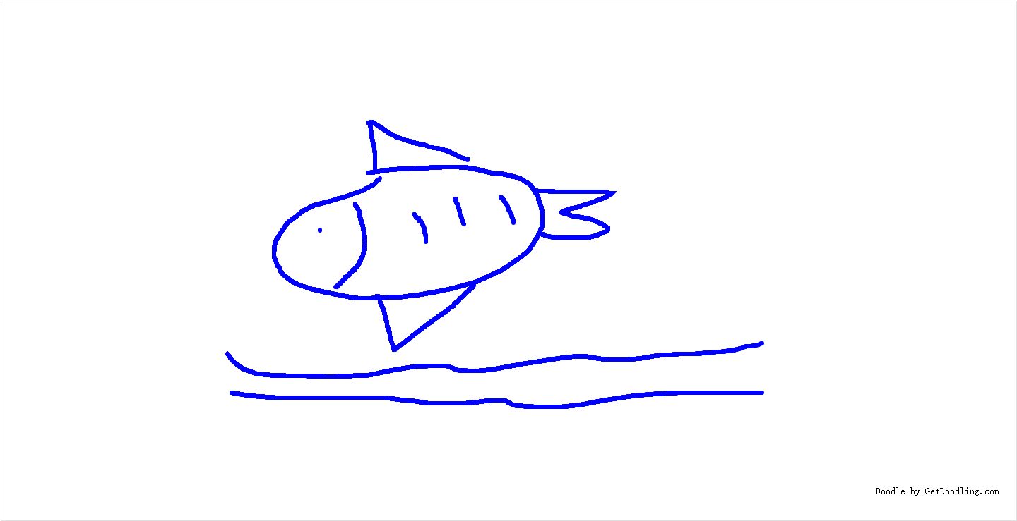 A fish jumps out of the water