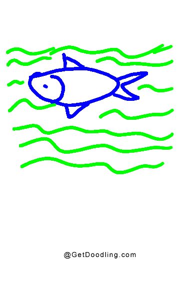 A fish swims in the water