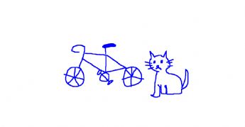En katt bredvid cykeln