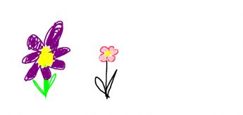 To vakre blomster