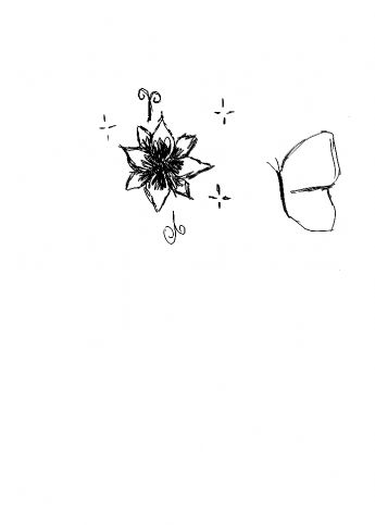 Flores e Borboletas