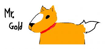 Seekor anjing berwarna oranye mengenakan kalung merah.