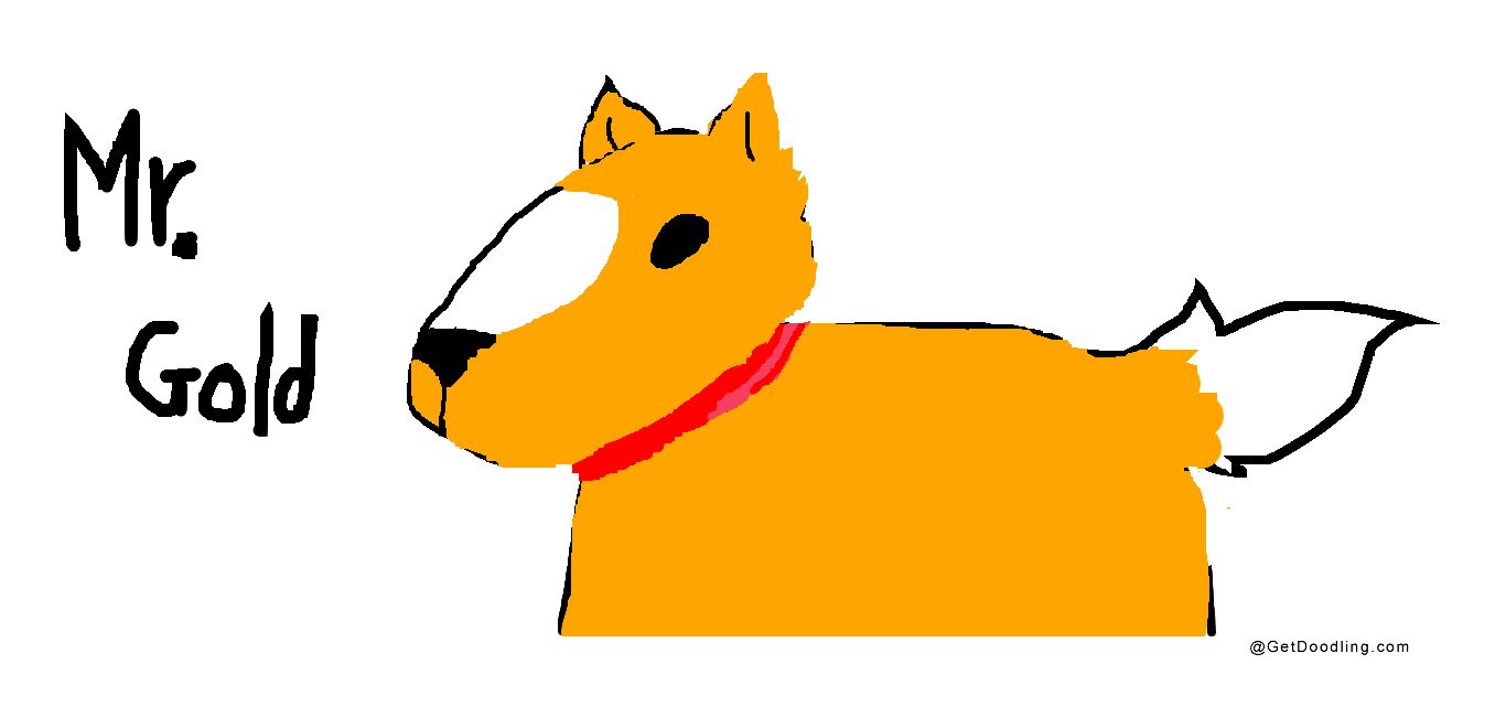 An orange dog wearing a red collar.