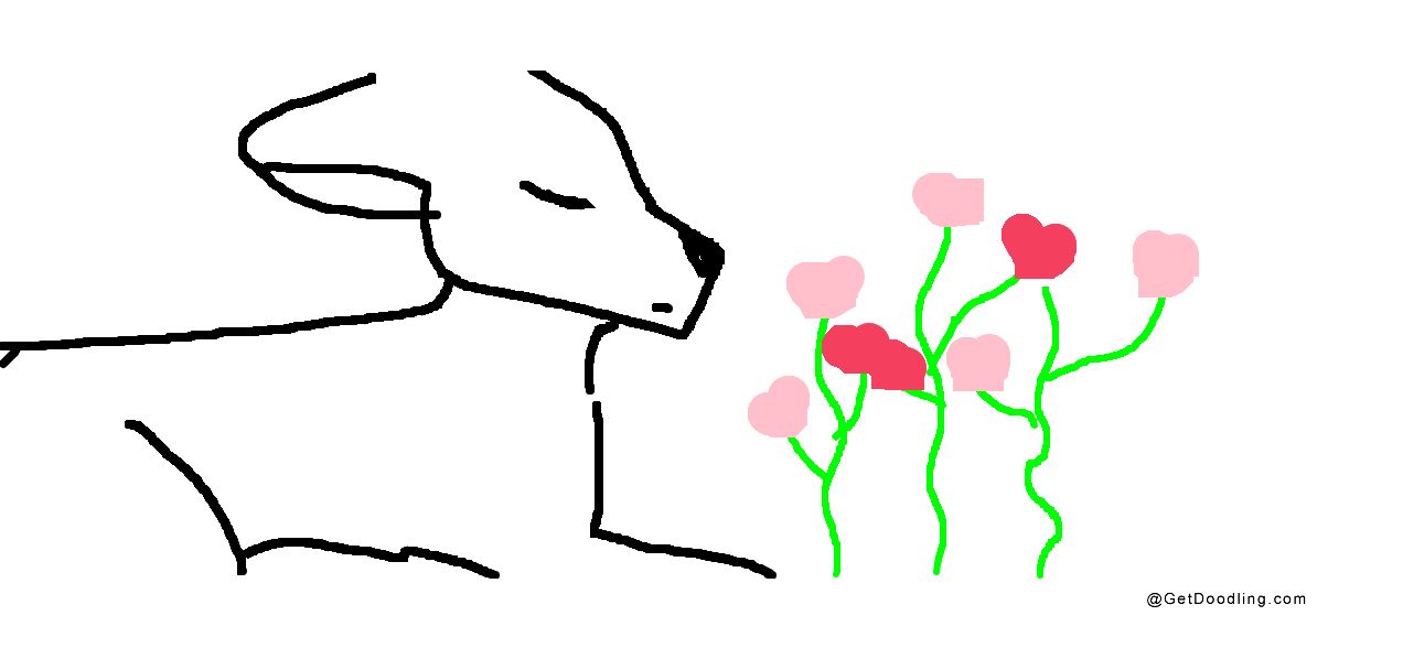 A small animal is smelling the flowers in front of a cluster of flowers