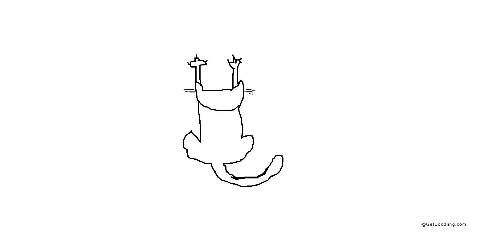 A cat is scratching the wall with its front paws