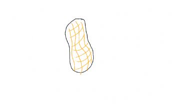 ピーナッツの殻の形を線で描いています