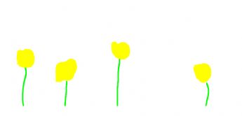 Quatre petites fleurs jaunes dressées sur l'herbe