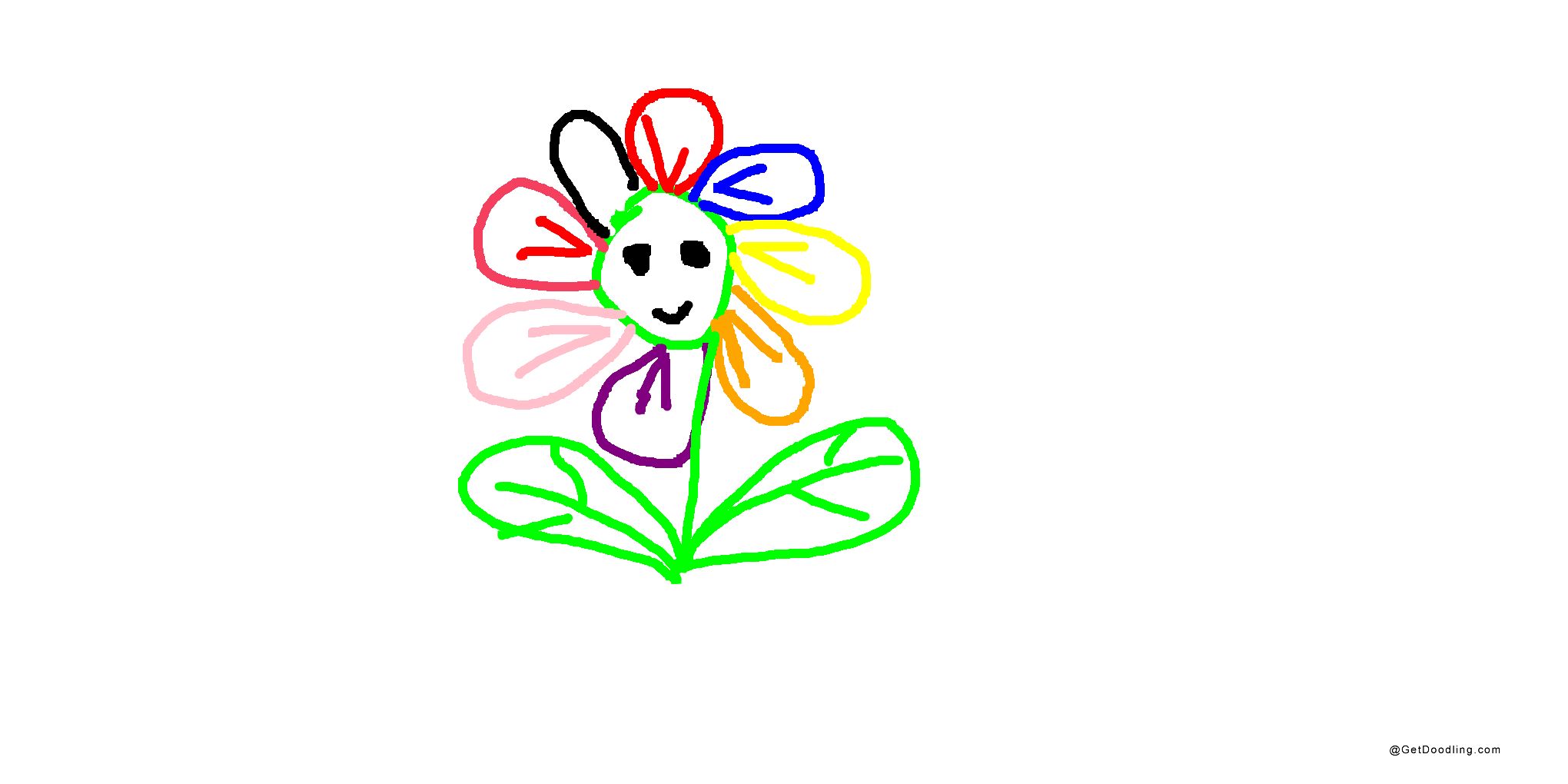 Buket dengan kelopak warna-warni