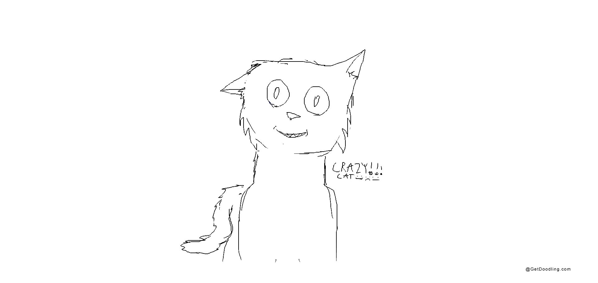 A crazy little cat with a funny expression and adorable, blank stare