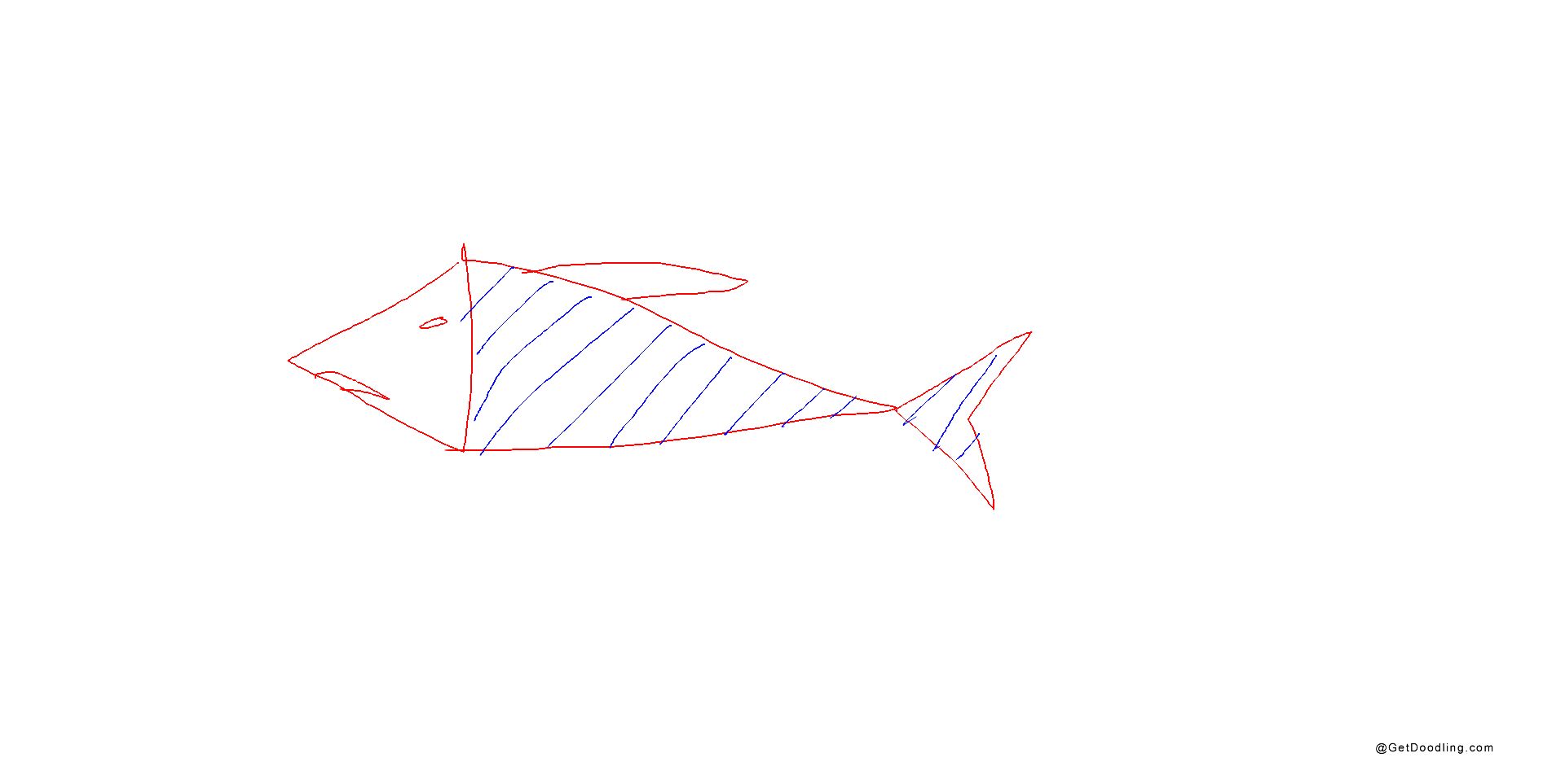 A shark drawn with lines