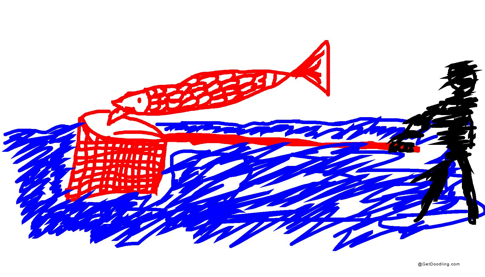 A person is fishing with a net