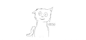 Seekor kucing kecil yang nyeleneh dengan ekspresi lucu dan tatapan kosong yang menggemaskan