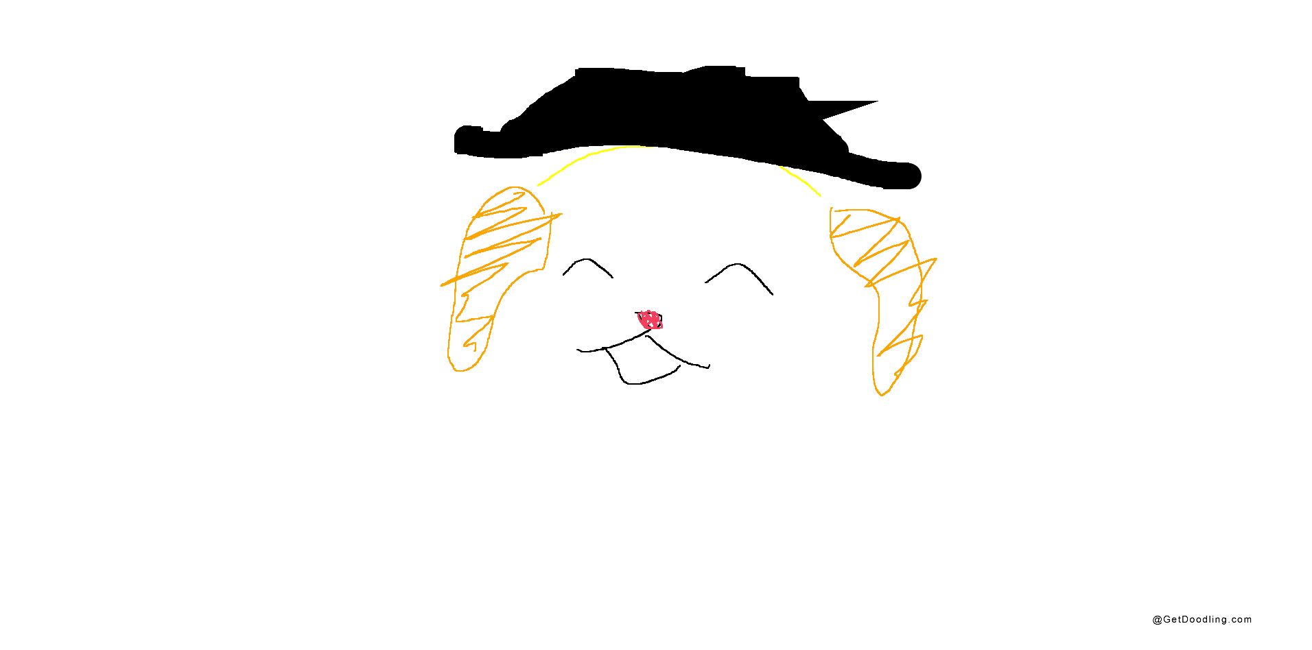 A dog wearing a hat is smiling