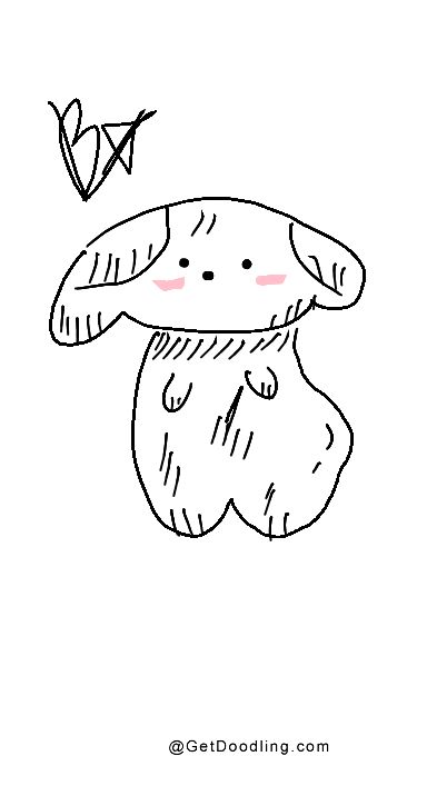 A shy and adorable little dog