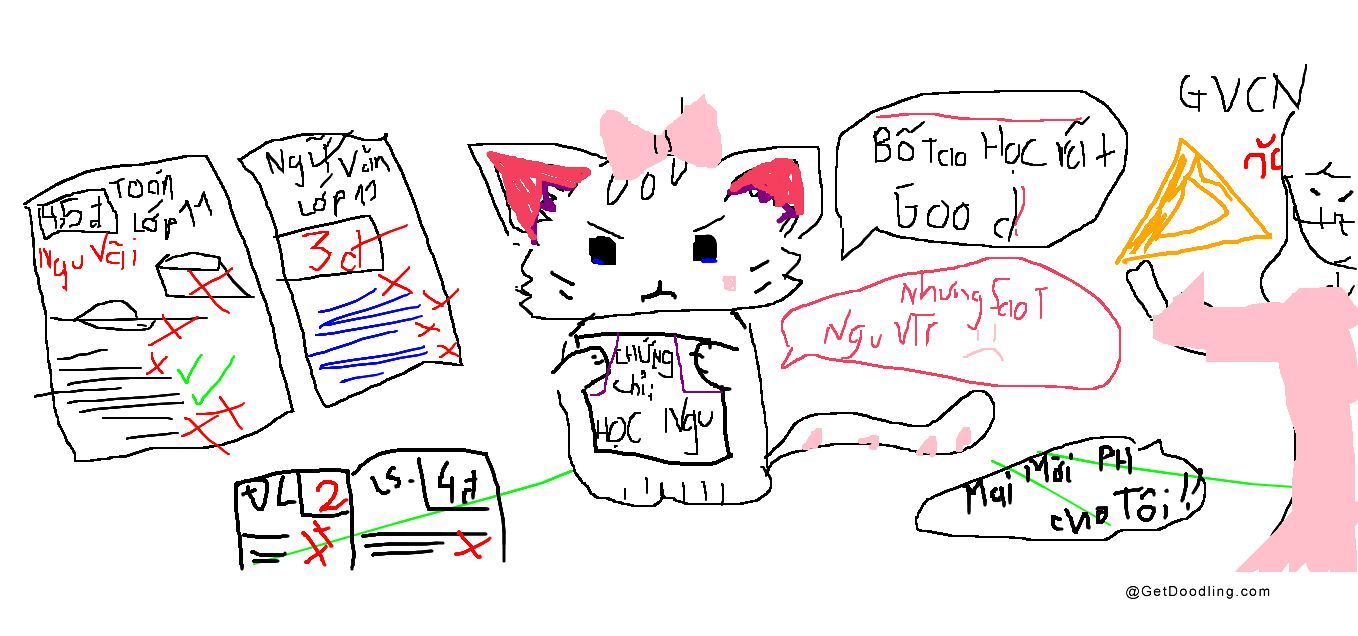 An angry cat's school life
