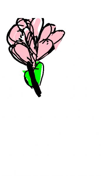 Pink flowers bloom with green leaves