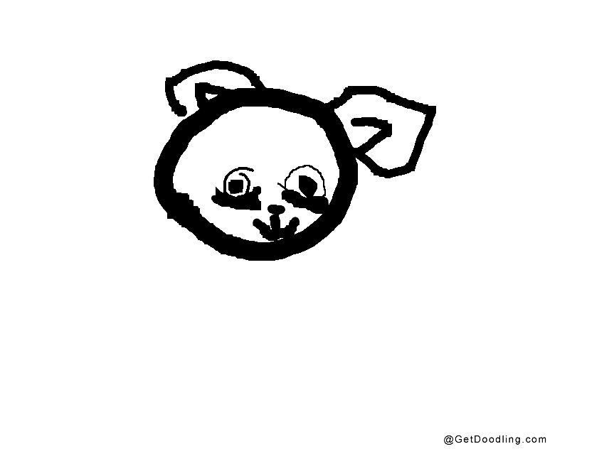 A cute little dog head blinking